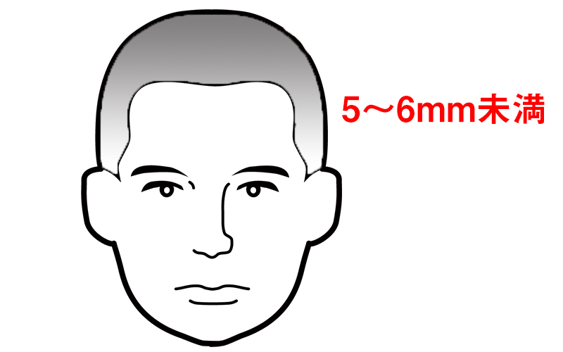 長さ5~6mm未満