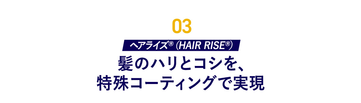 03 ヘアライズR（HAIR RISE R） 髪のハリとコシを、特殊コーティングで実現