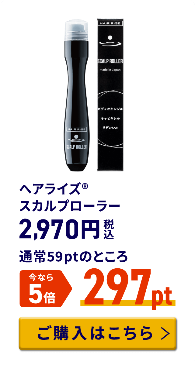 ヘアライズ® スカルプローラー 税込2,970円 通常59ptのところ今なら5倍 297pt ご購入はこちら