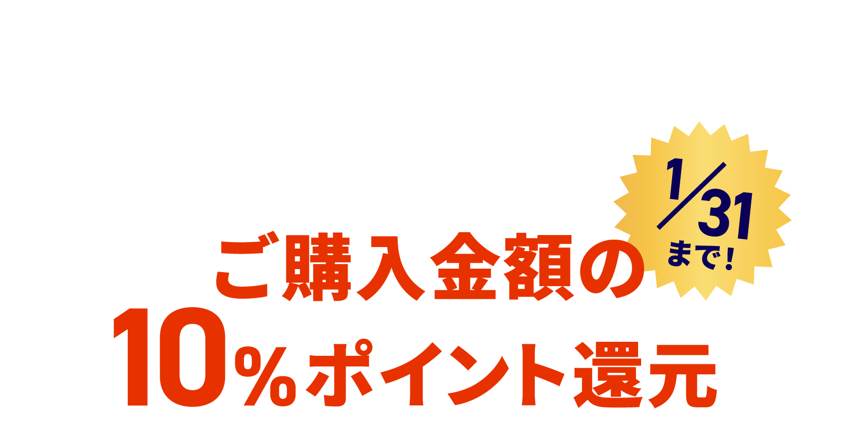 ポイント5倍 つまり、ご購入金額の10%ポイント還元 1/31まで!