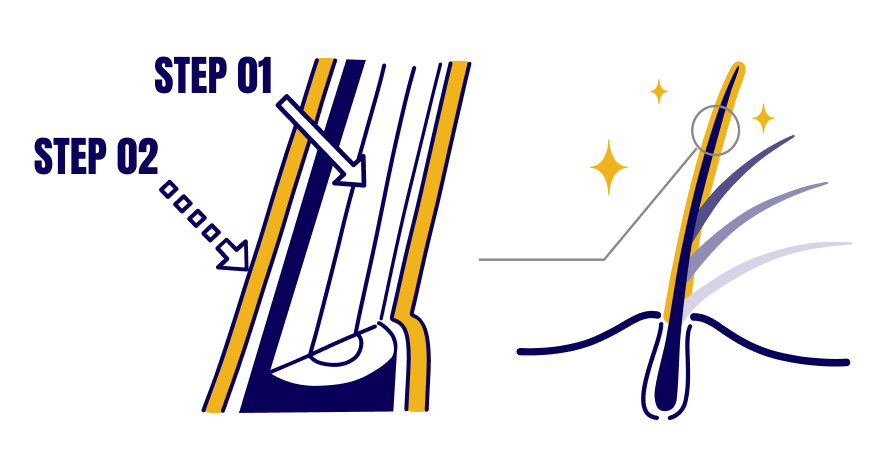 髪を太く強くする、独自のコーティング・メソッド