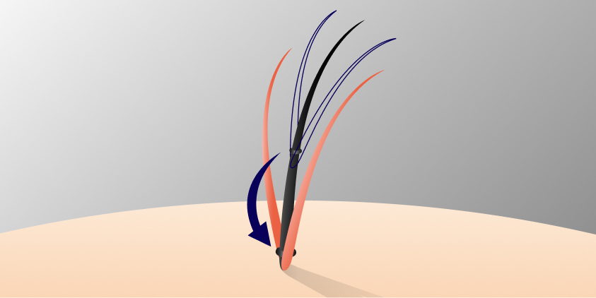 ジョイント部を根本に戻して継続利用