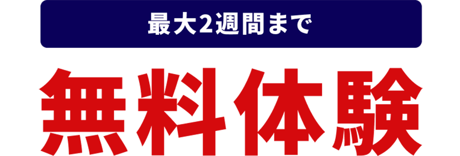 ウィッグ・サービス　最大2週間まで　無料体験